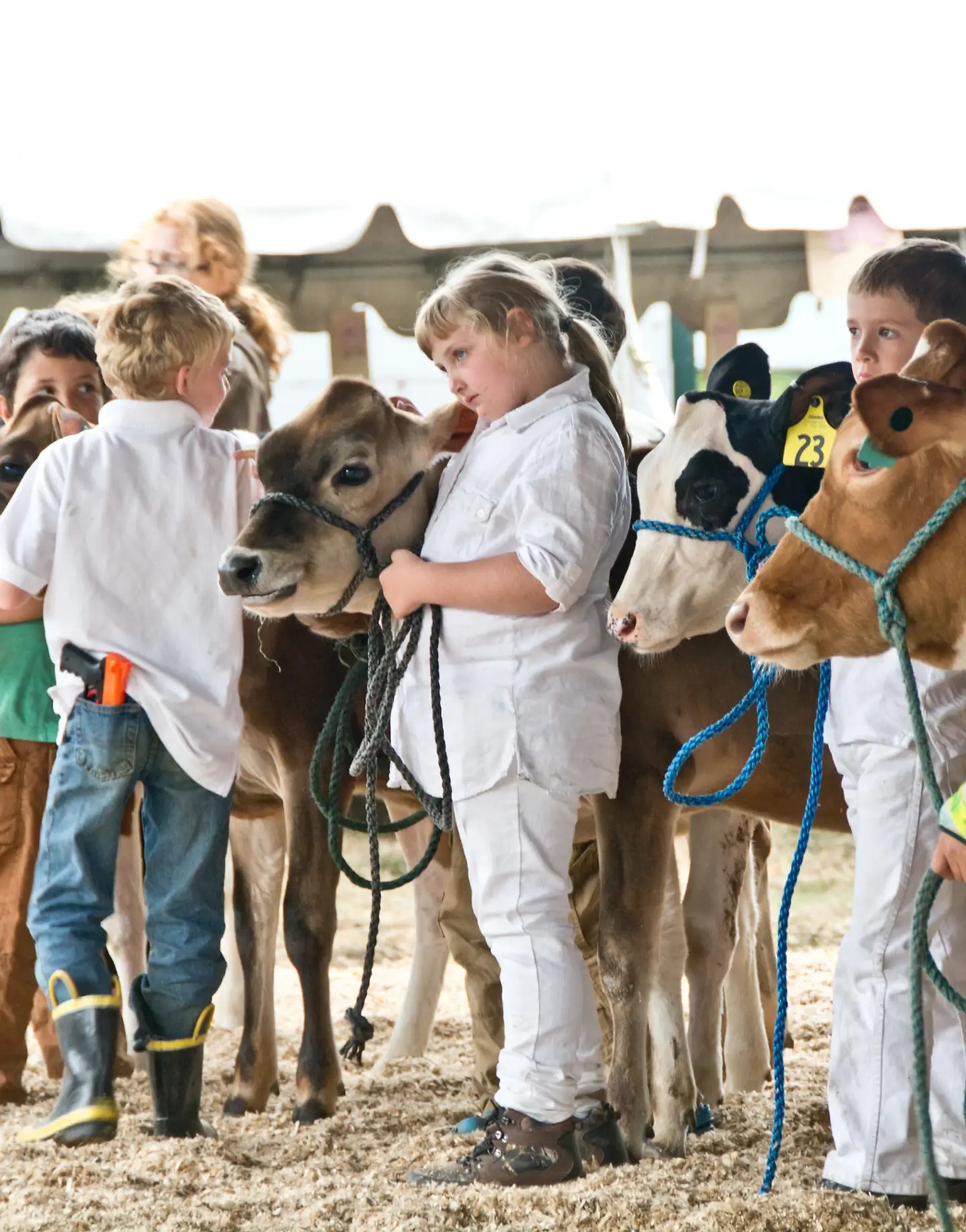 kids holding their cows