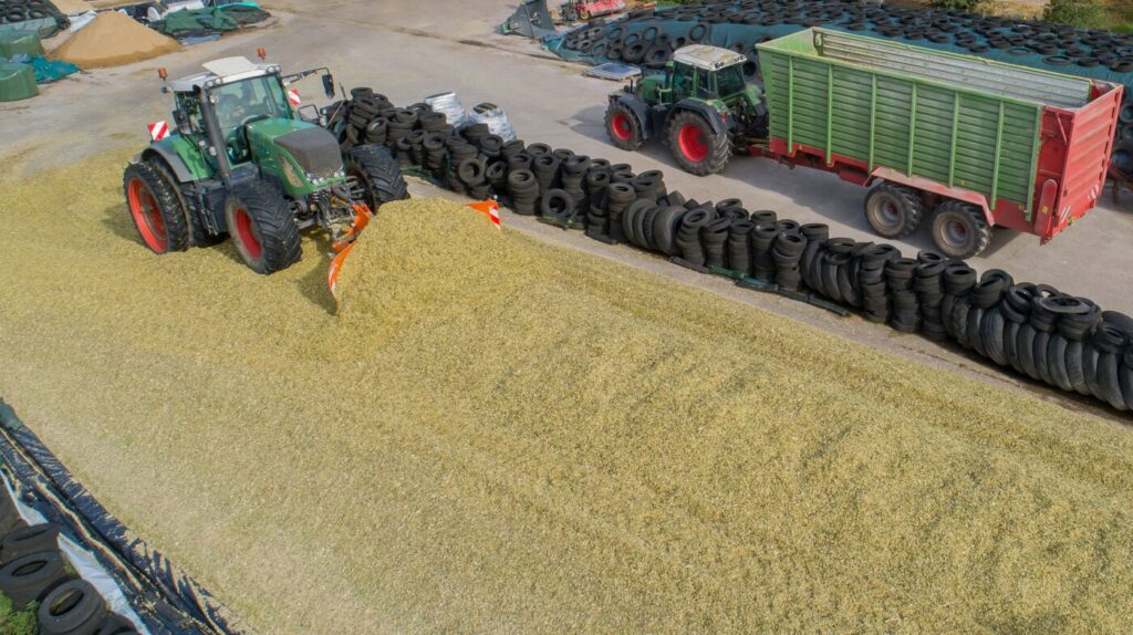 Corn crop, corn silage pile with tractor