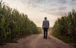 farmer looking at corn