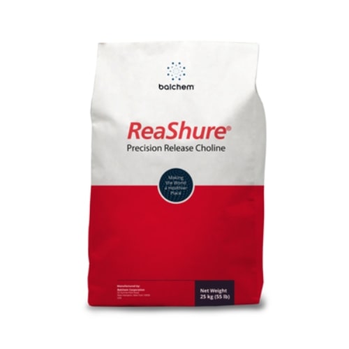 ReaShure Precision Release Choline