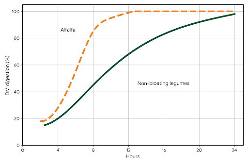 The graph shows the association between the rise in the bloat potential of alfalfa, a high-incidence legume, and non-bloating legumes.