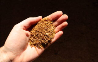 cow feed minerals in someones hand