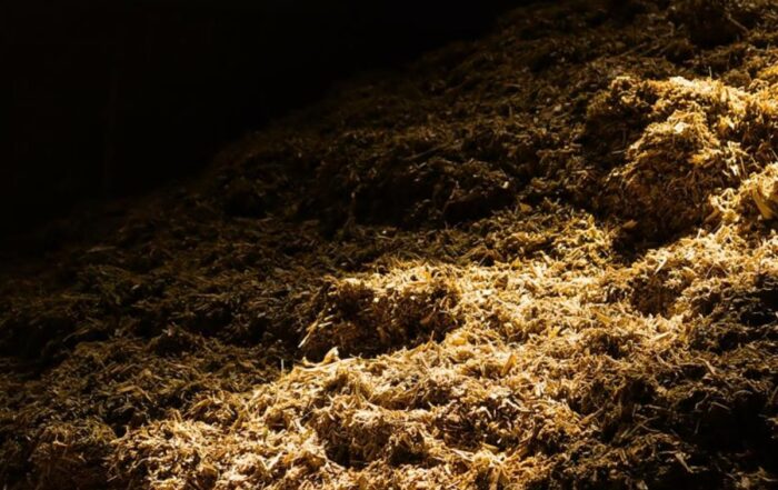 pile of hay in a dark barn with a a ray of sunshine shining on it