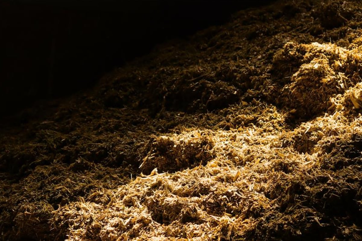pile of hay in a dark barn with a a ray of sunshine shining on it