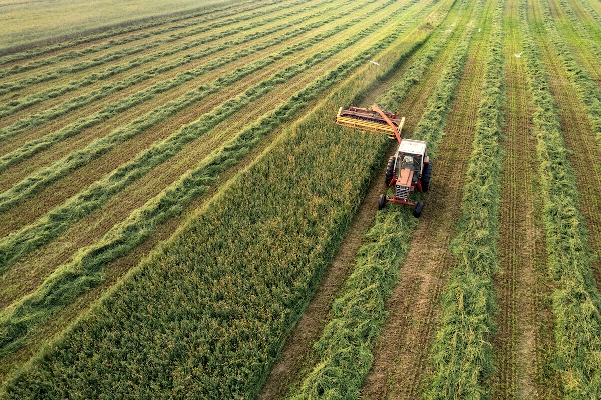 farmer cutting field of grass and alfalfa